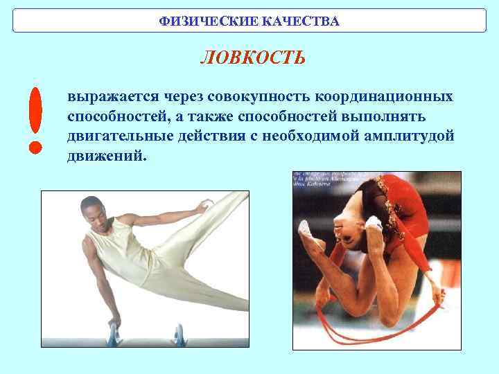 Способность выполнять движения амплитуды называется