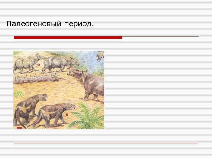 Палеогеновый период. 