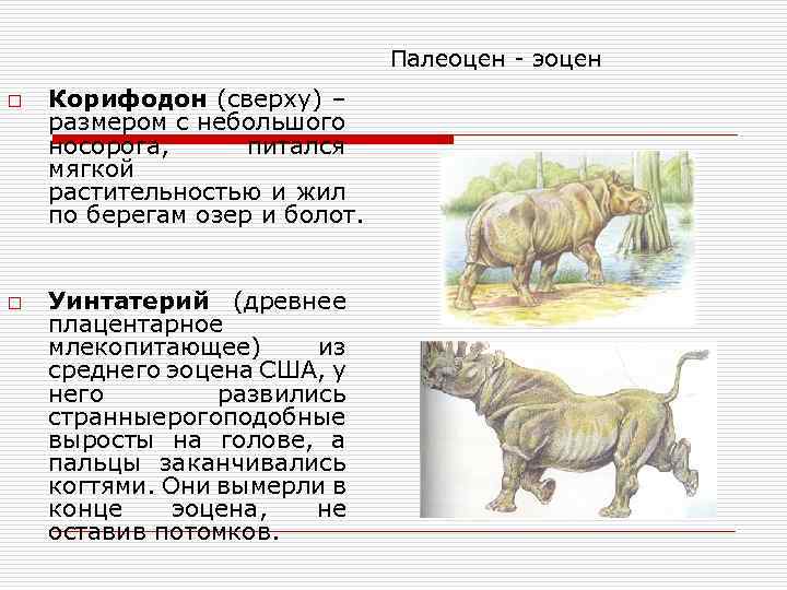 Кайнозойская эра периоды схема