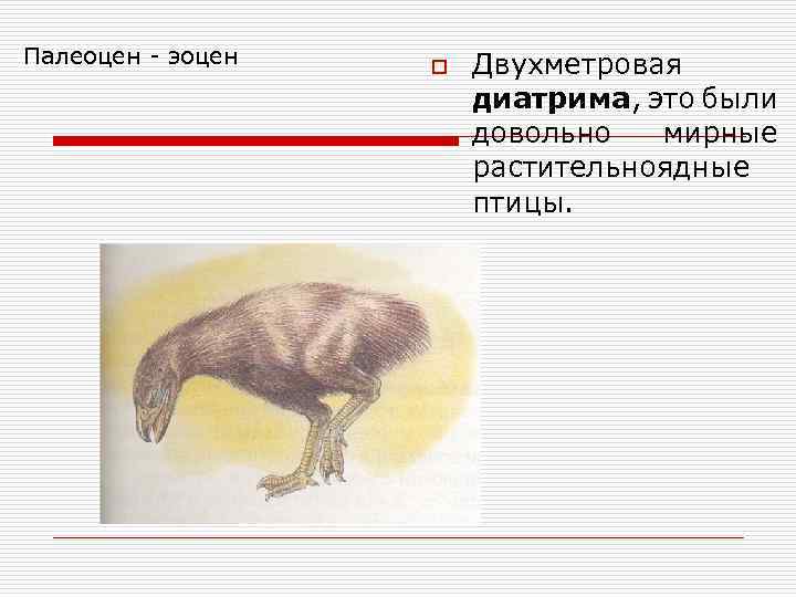 Палеоцен - эоцен o Двухметровая диатрима, это были довольно мирные растительноядные птицы. 