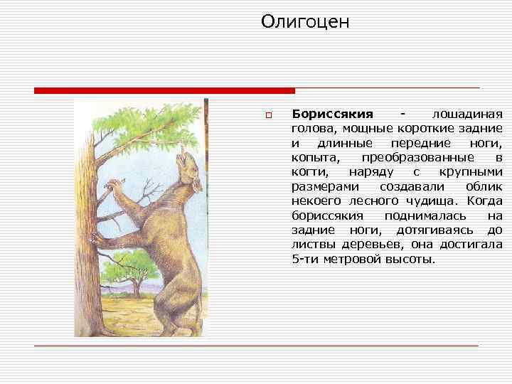 Олигоцен o Бориссякия лошадиная голова, мощные короткие задние и длинные передние ноги, копыта, преобразованные