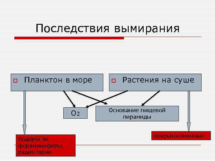 Последствия вымирания o Планктон в море О 2 Водоросли, фораминиферы, радиолярии o Растения на