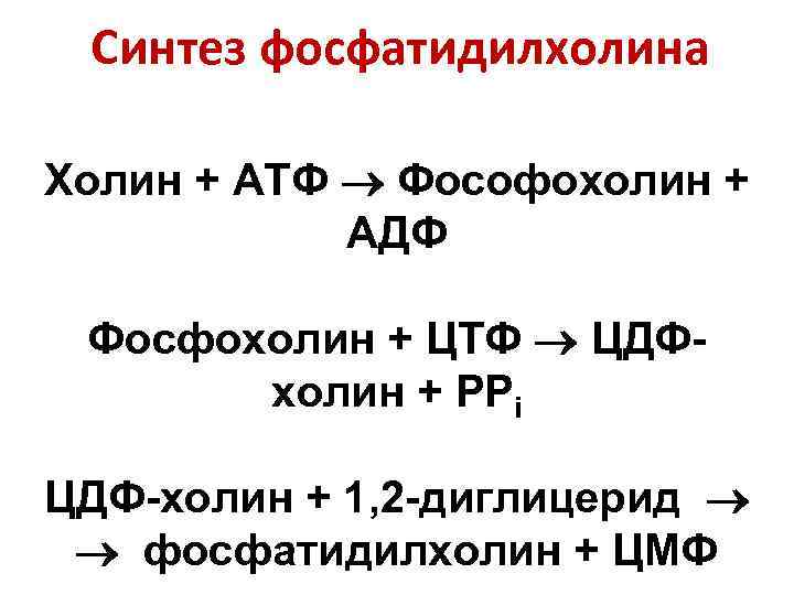  Синтез фосфатидилхолина Холин + АТФ  Фософохолин +   АДФ  Фосфохолин