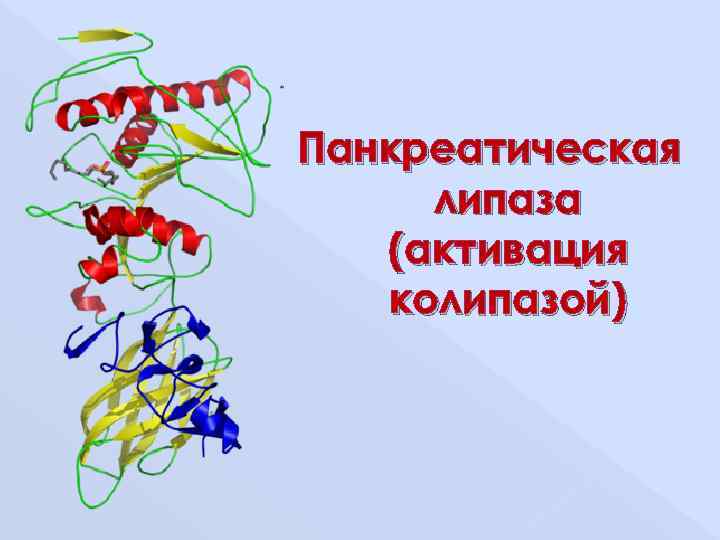 Панкреатическая липаза  (активация  колипазой) 