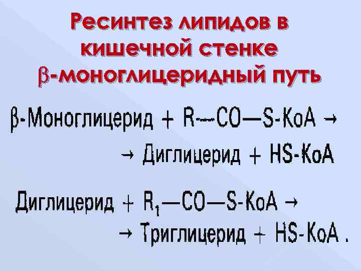 Ресинтез триацилглицеринов в кишечной стенке и синтез их в тканях физиологическое значение