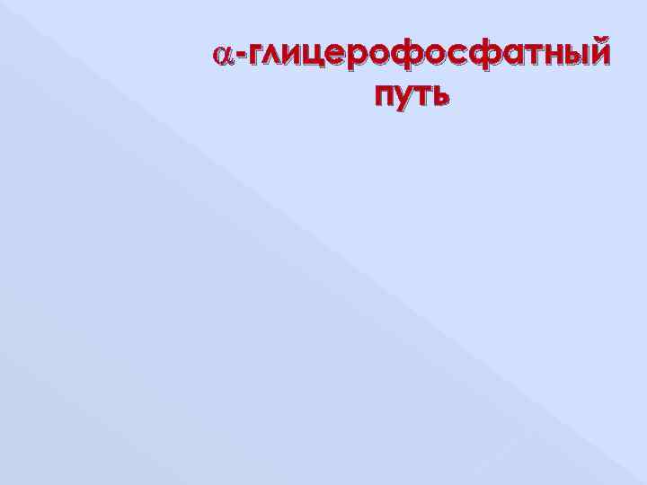 -глицерофосфатный   путь 