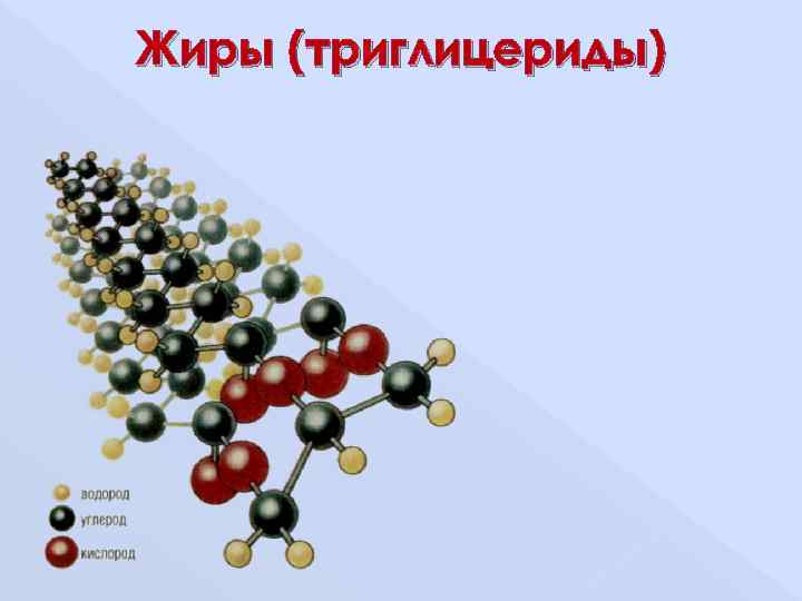 Три глицерины. Жиры триглицериды. Строение жиров триглицеридов. Триглицериды строение биохимия. Триглицериды и фосфолипиды.