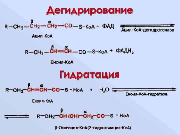 Дегидрирование  Гидратация 