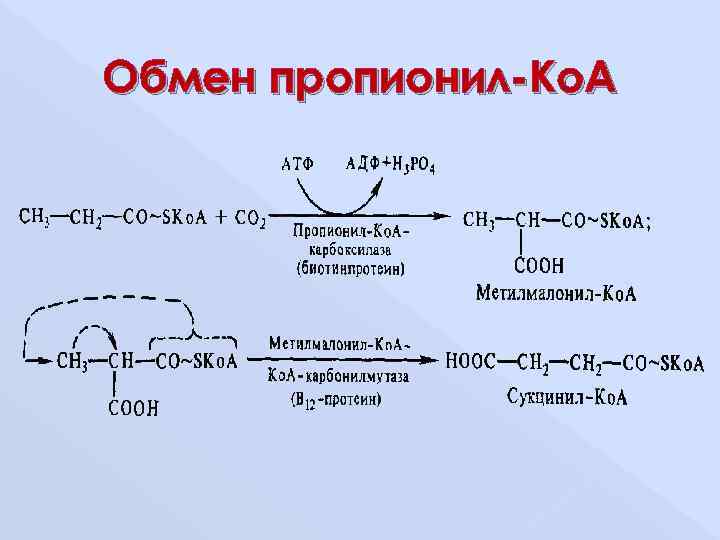 Коа. Липиды триглицериды фосфолипиды. Факторы переваривания липидов. Назовите ферменты, участвующие в переваривании пищевых фосфолипидов.. Обмен триглицеридов.