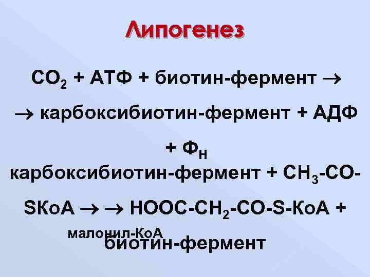 Липогенез. Липогенез биохимия. Липогенез регуляция биохимия. Реакции липогенеза биохимия.