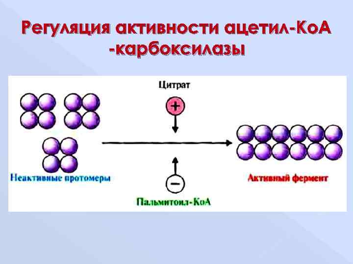 Триглицериды что это такое у мужчин