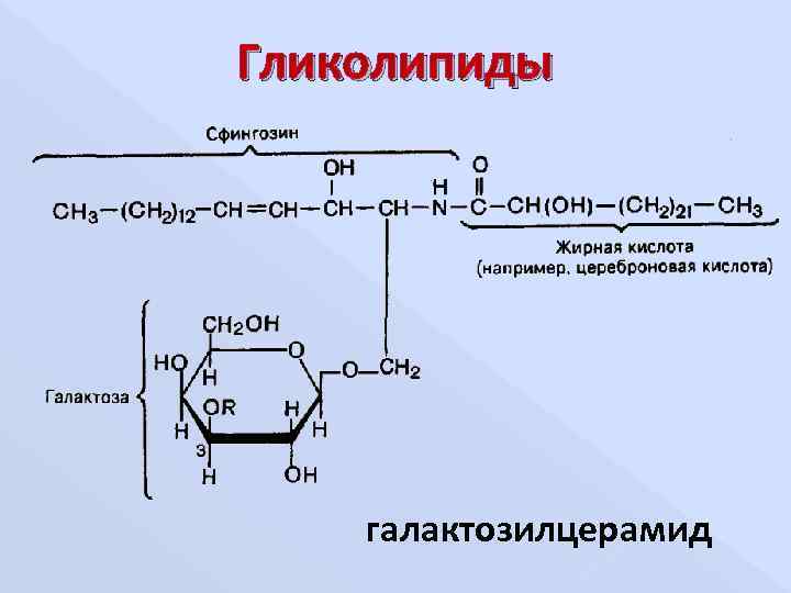 Гликолипиды