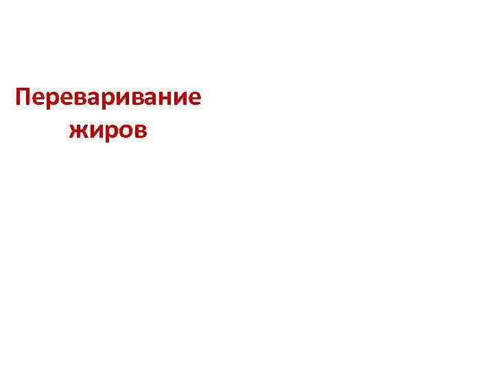 Переваривание жиров 