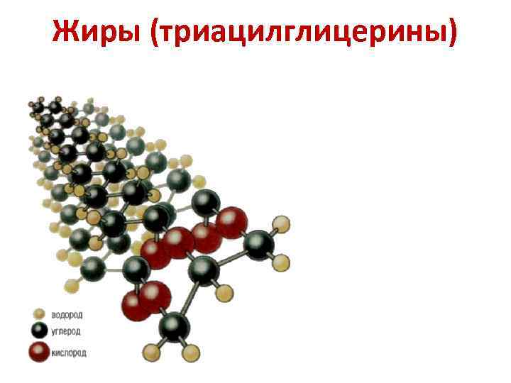 Жиры (триацилглицерины) 