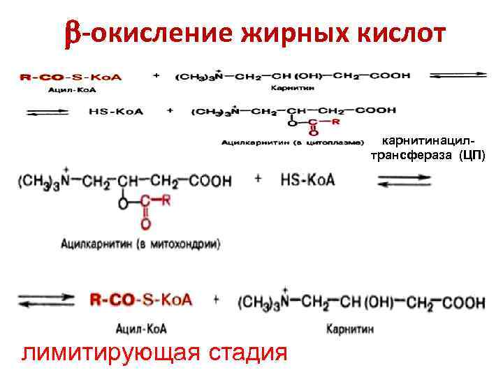 Б окисление