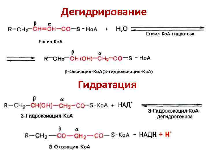 Дегидрирование кислоты