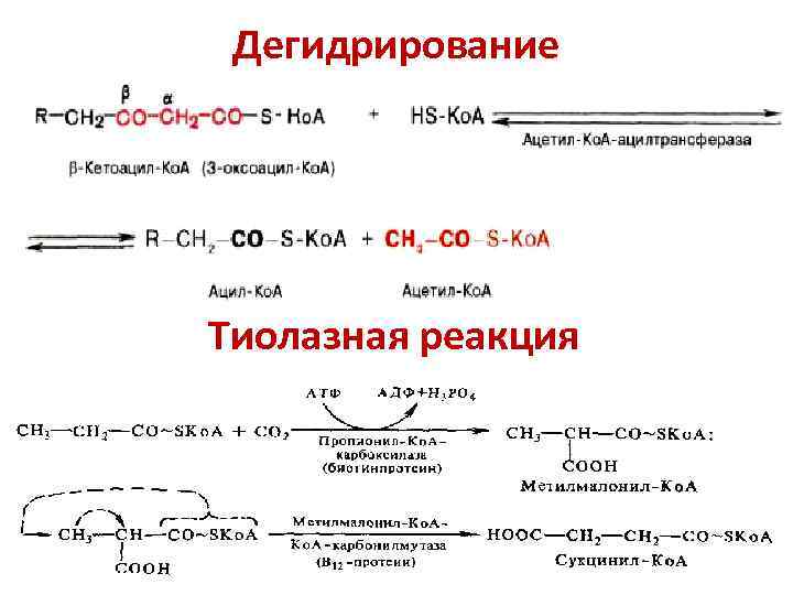 Дегидрирование кислоты