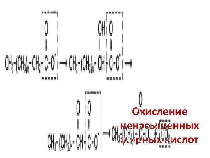  Окисление ненасыщенных жирных кислот 