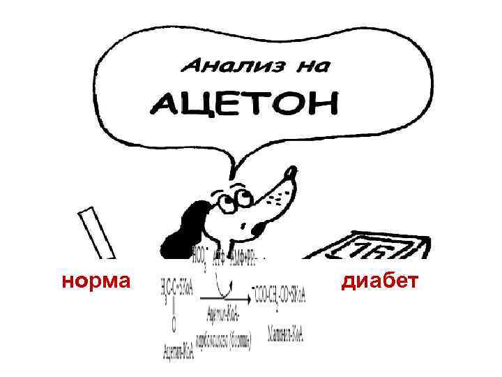 норма  диабет 