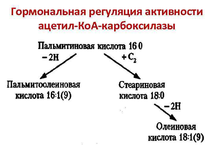 Гормональная регуляция активности ацетил-Ко. А-карбоксилазы 