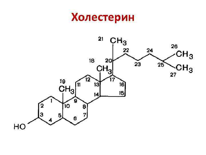 Холестерин 
