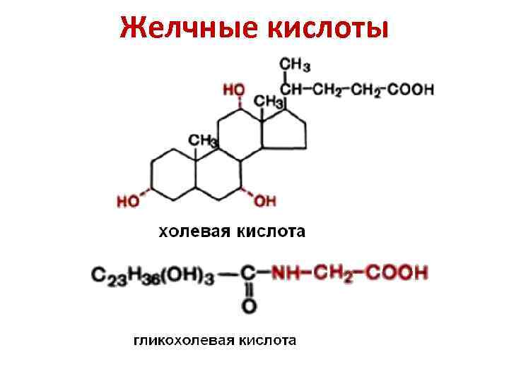 Желчные кислоты 