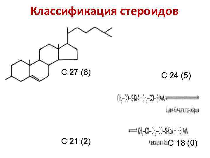 Классификация стероидов  С 27 (8)  С 24 (5)   С 21