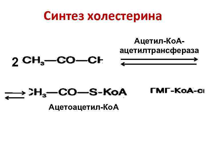   Синтез холестерина     Ацетил-Ко. А-    ацетилтрансфераза