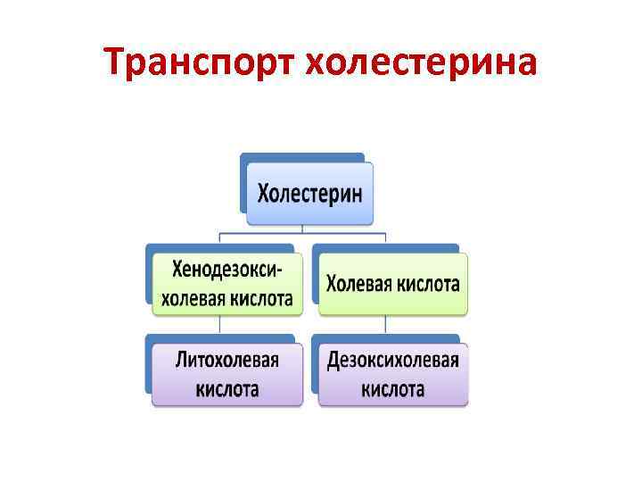 Транспорт холестерина 