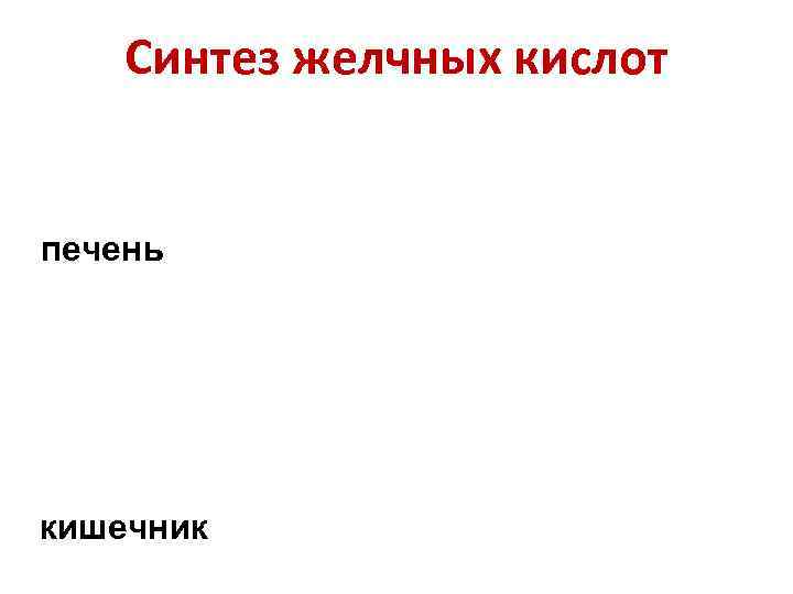   Синтез желчных кислот  печень кишечник 