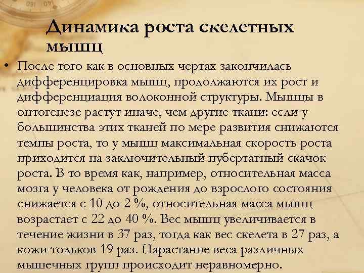   Динамика роста скелетных  мышц • После того как в основных чертах