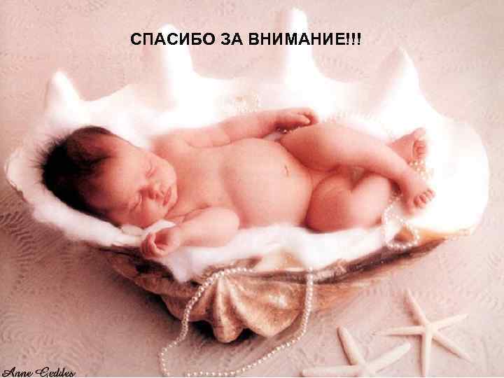СПАСИБО ЗА ВНИМАНИЕ!!! СПАСИБО ЗА ВНИМАНИЕ!!!