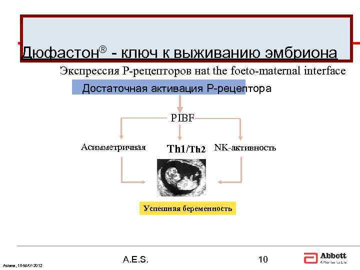   Дюфастон® - ключ к выживанию эмбриона    Экспрессия P-рецепторов нat