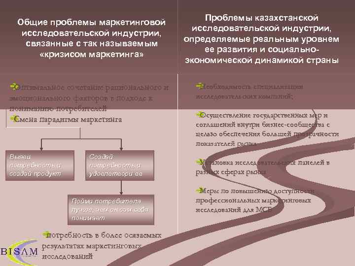     Проблемы казахстанской  Общие проблемы маркетинговой    