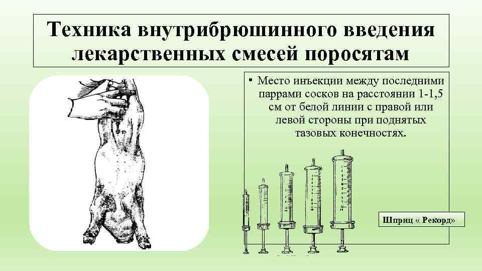 Схемы рисунки особенности введения лекарственных веществ