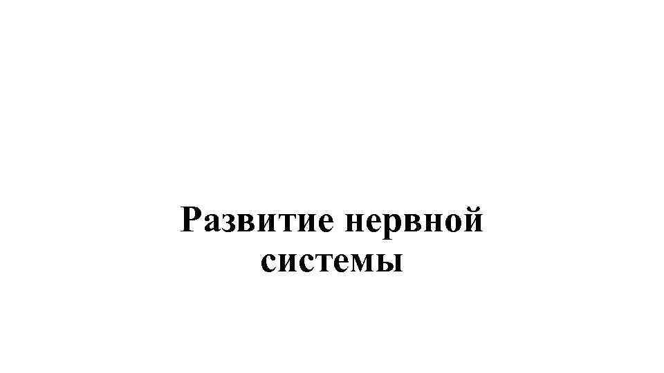 Развитие нервной системы Развитие нервной системы