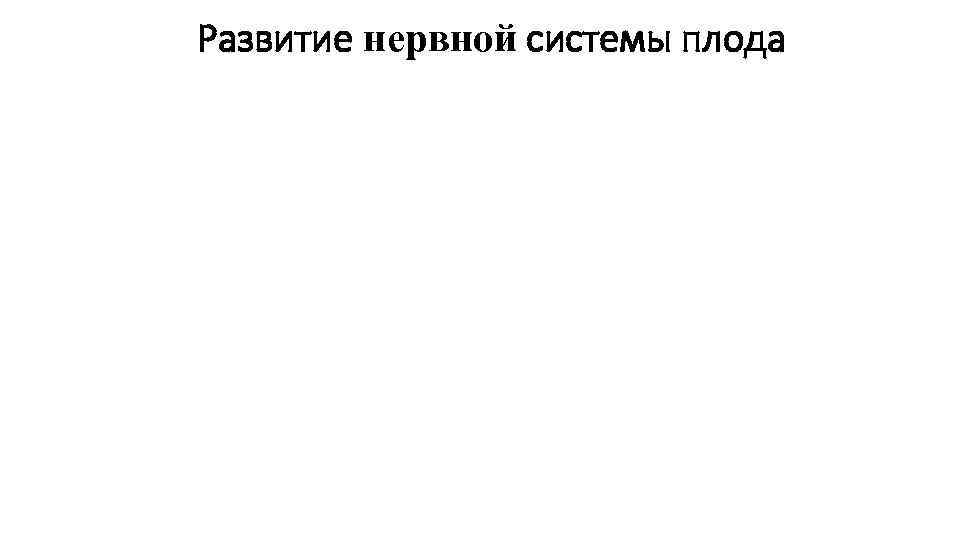 Развитие нервной системы плода Развитие нервной системы плода