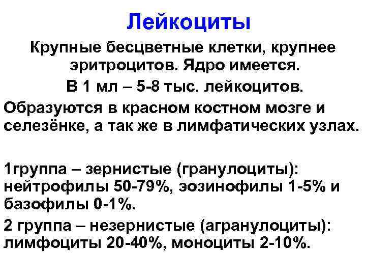    Лейкоциты  Крупные бесцветные клетки, крупнее  эритроцитов. Ядро имеется. 
