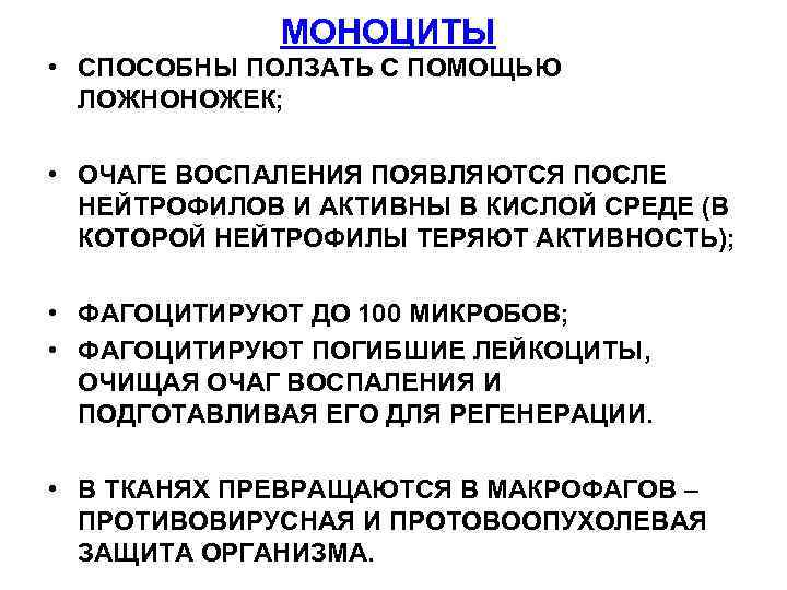    МОНОЦИТЫ • СПОСОБНЫ ПОЛЗАТЬ С ПОМОЩЬЮ  ЛОЖНОНОЖЕК;  • ОЧАГЕ