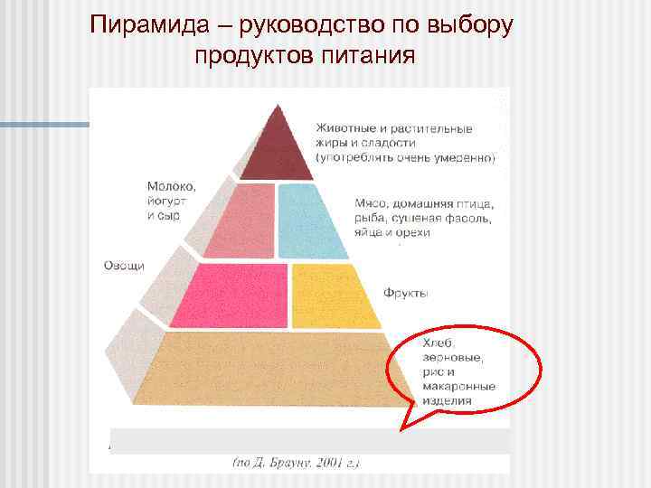 Пирамида – руководство по выбору продуктов питания 