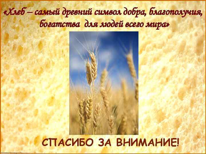  «Хлеб – самый древний символ добра, благополучия, богатства для людей всего мира» СПАСИБО