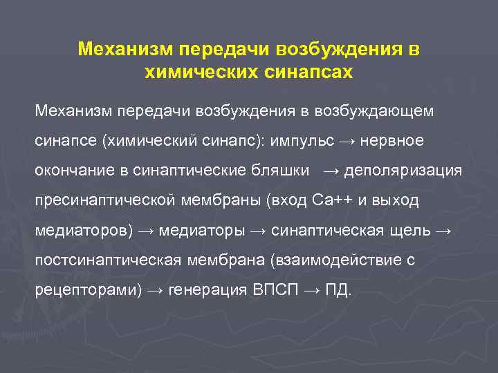  Механизм передачи возбуждения в  химических синапсах Механизм передачи возбуждения в возбуждающем синапсе
