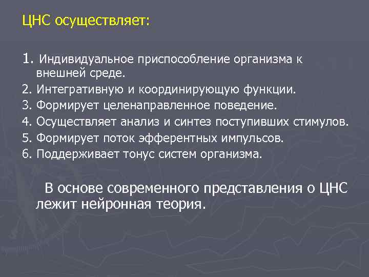 ЦНС осуществляет:  1. Индивидуальное приспособление организма к  внешней среде. 2. Интегративную и