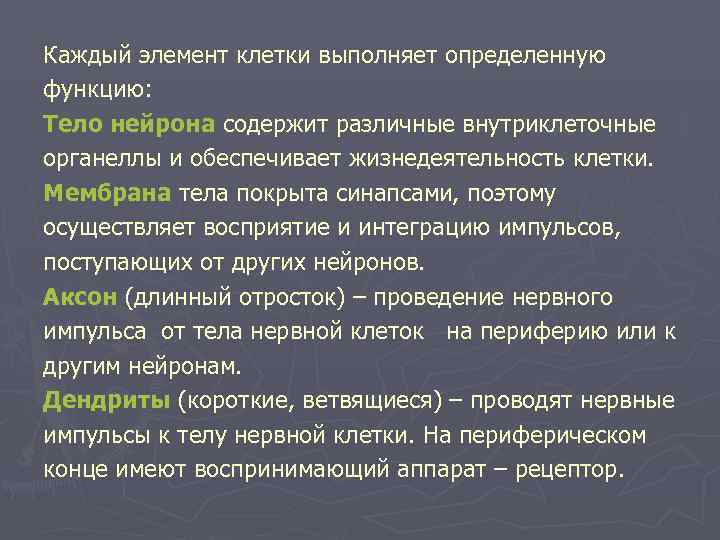 Каждый элемент клетки выполняет определенную функцию: Тело нейрона содержит различные внутриклеточные органеллы и обеспечивает