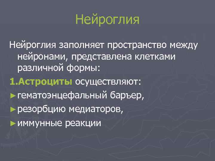    Нейроглия заполняет пространство между  нейронами, представлена клетками  различной формы: