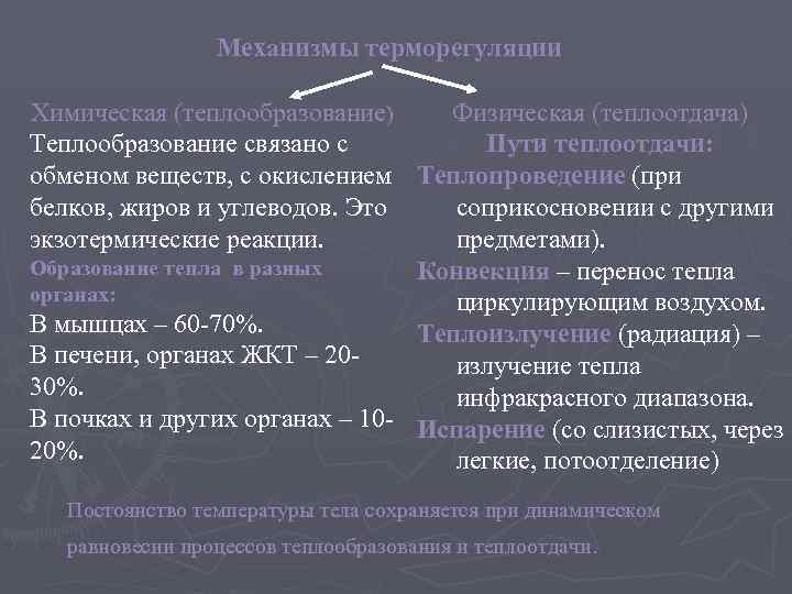    Механизмы терморегуляции Химическая (теплообразование) Физическая (теплоотдача) Теплообразование связано с  Пути