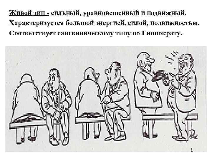 Живой тип - сильный, уравновешенный и подвижный. Характеризуется большой энергией, силой, подвижностью. Соответствует сангвиническому