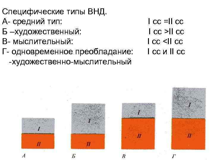 Специфические типы ВНД. А- средний тип:    I сс =II сс Б
