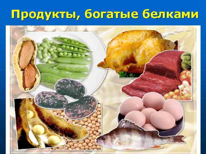 Продукты, богатые белками 
