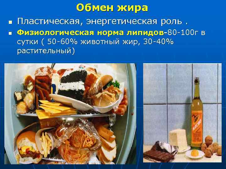    Обмен жира n  Пластическая, энергетическая роль. n  Физиологическая
